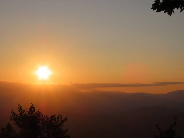 istock Sunset in the mountains with details for some tree leaves 1191563052