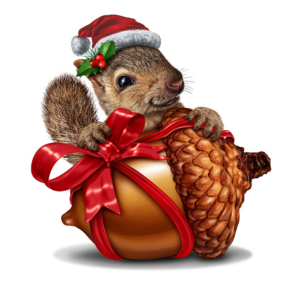 Christmas squirrel gift as a funny and cute animal holding a giant acorn tree nut with a red festive bow as a holiday symbol representing joy and the spirit of giving with 3D illustration elements.