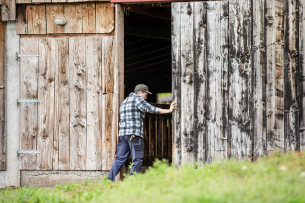 young man opening wooden barn door for pasturing goats - stock photo - barn door imagens e fotografias de stock