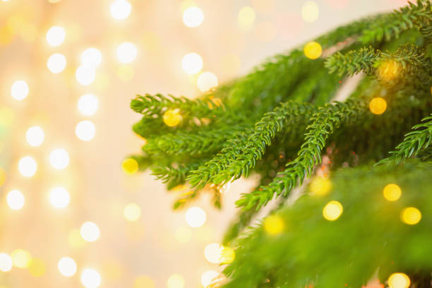 istock Closeup Christmas tree with bokeh light background 1191566410