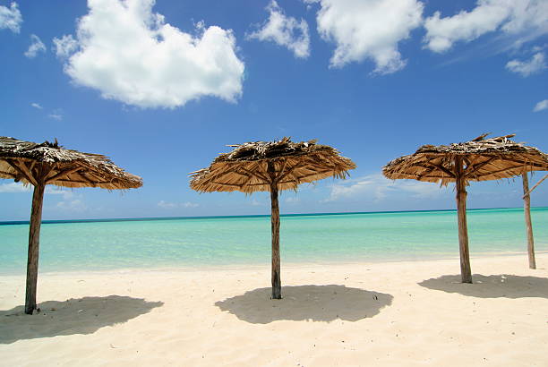 Beach umbrellas stock photo