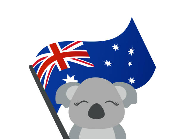 illustrazioni stock, clip art, cartoni animati e icone di tendenza di carino koala che tiene in mano il vettore bandiera austraiiana - koala australian culture cartoon animal