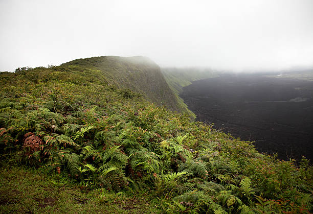 Vulcão Sierra Negra, de Galápagos - foto de acervo