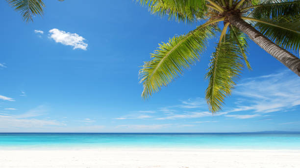 istock Exotic tropical beach scene for background or wallpaper 1191581516