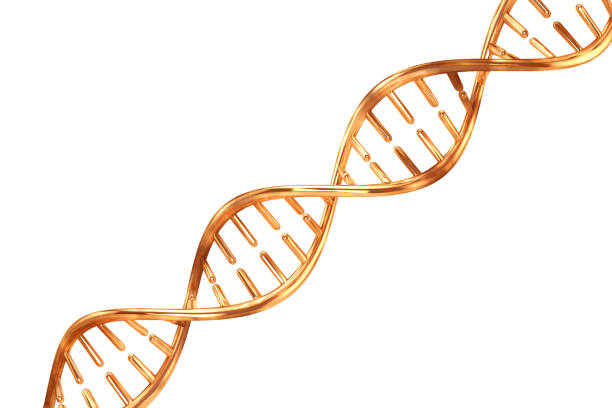 istock gold metal dna isolated on white background 1191583851
