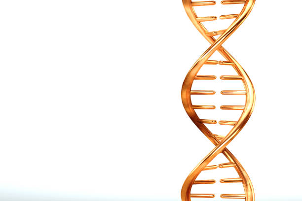istock gold metal dna isolated on white background 1191583854