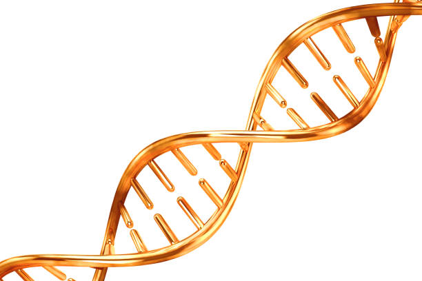 istock gold metal dna isolated on white background 1191583864