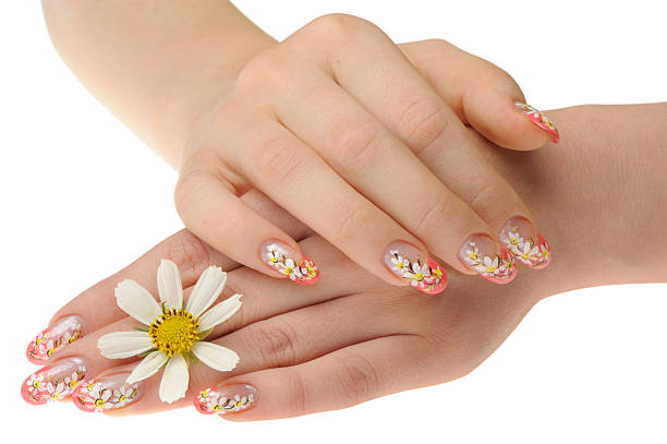 istock Female hand and flower 119158837