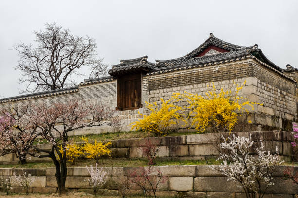istock Changgyeonggung Palace 1191595517