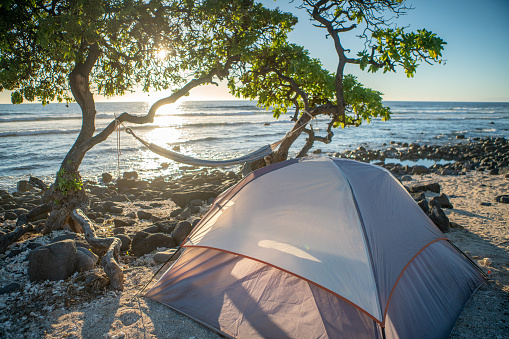 Tent on the beach at sunset, hammock hanging on trees