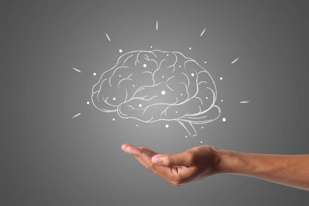 brain writes with white chalk is on hand, draw concept. stock photo