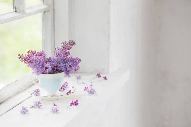 istock bouquet of lilacs in ceramic cup  on old white windowsill 1191600340