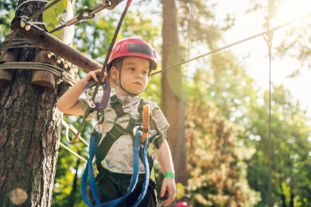 istock Cute little boy in an adventure park 1191602375