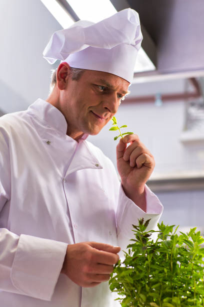 istock Confident mature chef smelling herb leaves in kitchen at restaurant 1191603129