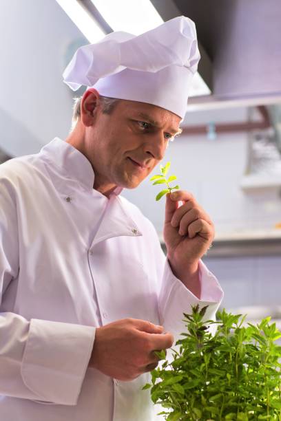 istock Confident mature chef smelling herb leaves in kitchen at restaurant 1191605636
