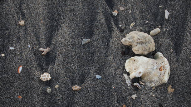 istock the rocks on the beach sand are gray 1191607223