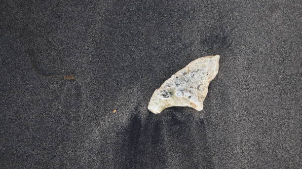 istock the rocks on the beach sand are gray 1191609233