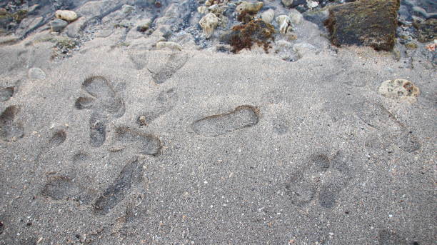 istock the rocks on the beach sand are gray 1191610052