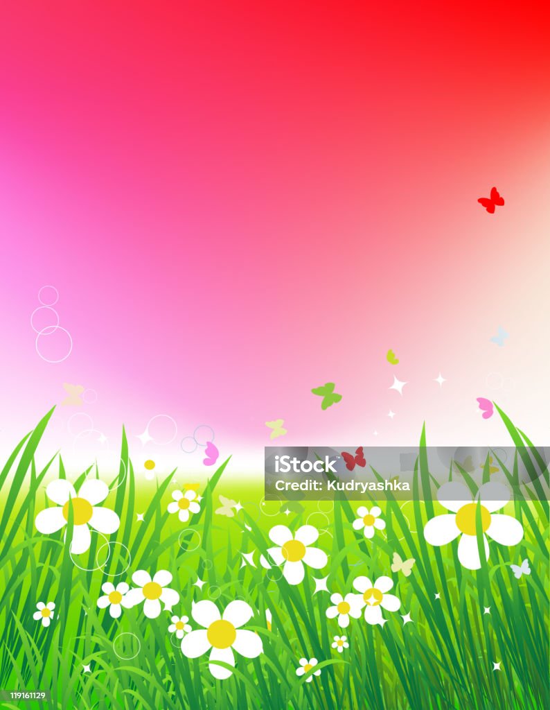 Primavera meadow bela - Vetor de Camomila royalty-free