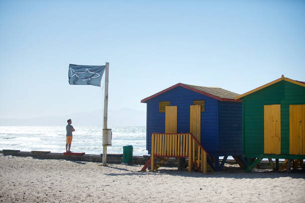 shark flag z surferem patrzącym na ocean z chatami na plaży - surf scene zdjęcia i obrazy z banku zdjęć