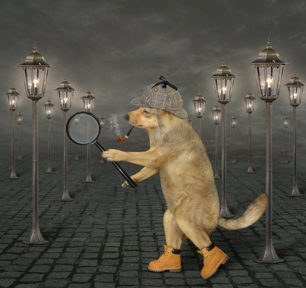 istock Dog detective looking for criminal 1191614226