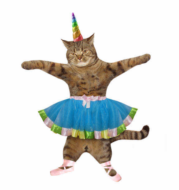 istock Cat unicorn is ballet dancer 1191614227