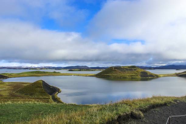 미바튼 아이슬란드의 스쿠투스타디르 슈도 분화구 - icelandic sheep 뉴스 사진 이미지