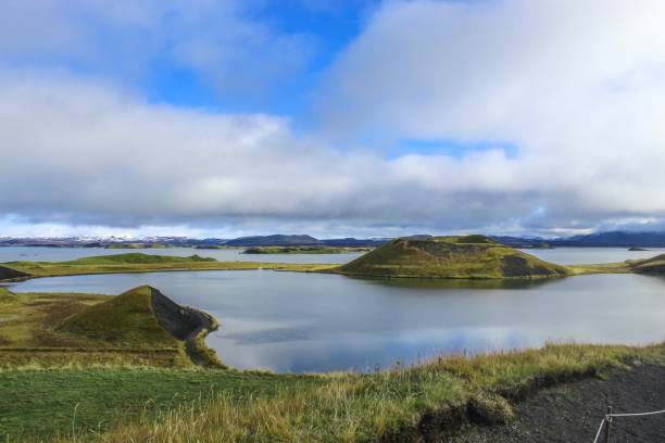 скутустадир псевдо кратеры в миватн исландия - icelandic sheep стоковые фото и изображения