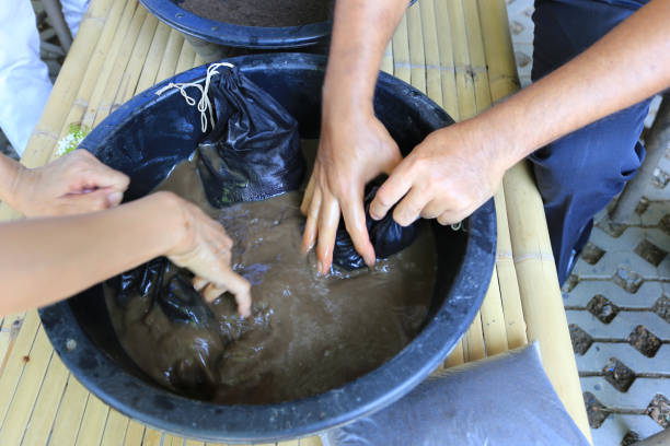 istock Earthworm manure fermented water in the farm, (vermi-compost, vermiculture) 1191615947