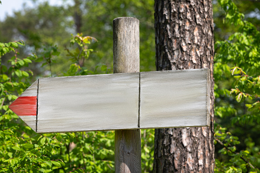 Wooden signpost board with no markings in the woods. This file is cut out, cleaned and retouched.