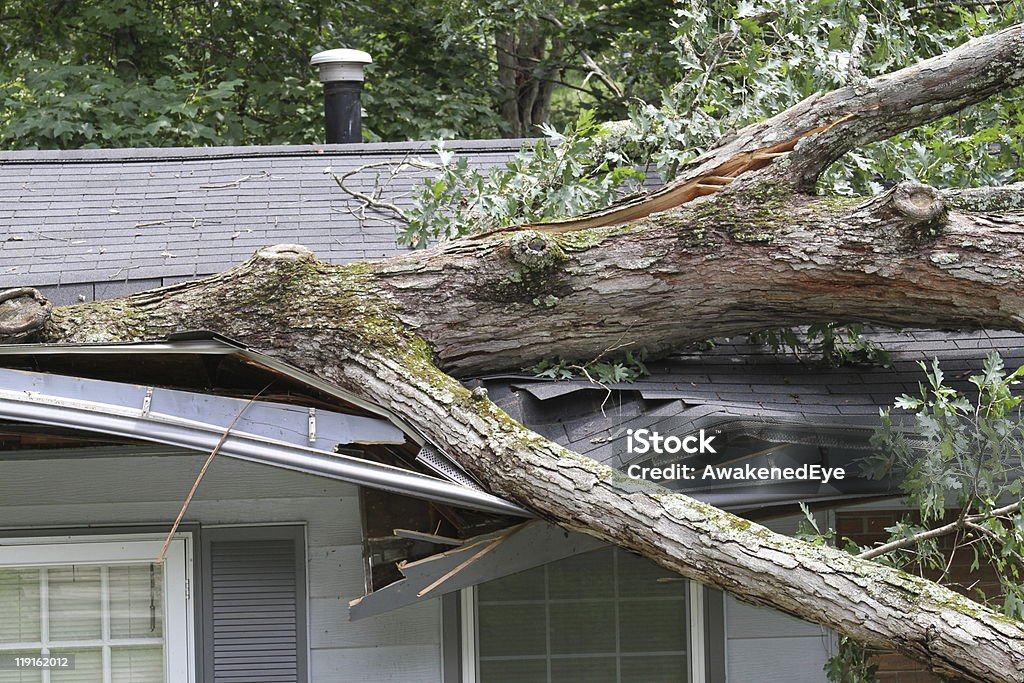 Storm Damage Large white oak tree punctures roof on house Damaged Stock Photo