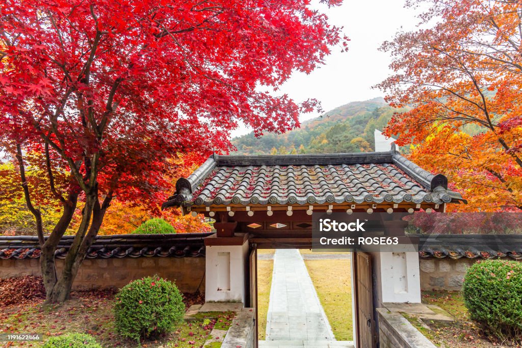 한국의 아름다운 단풍 나무 풍경 가을에 대한 스톡 사진 및 기타 이미지 - 가을, 가을 단풍, 경관 - Istock