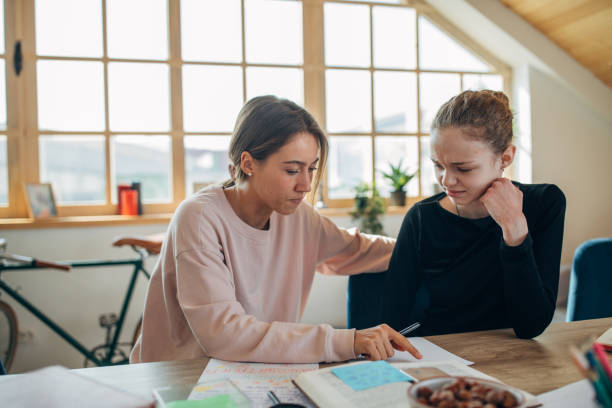 istock Young girl on private class with lady teacher 1191623953