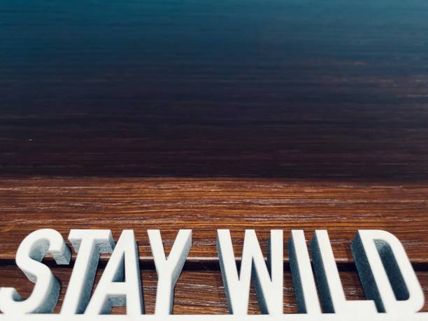 istock Short phrase STAY WILD on brown background 1191623969