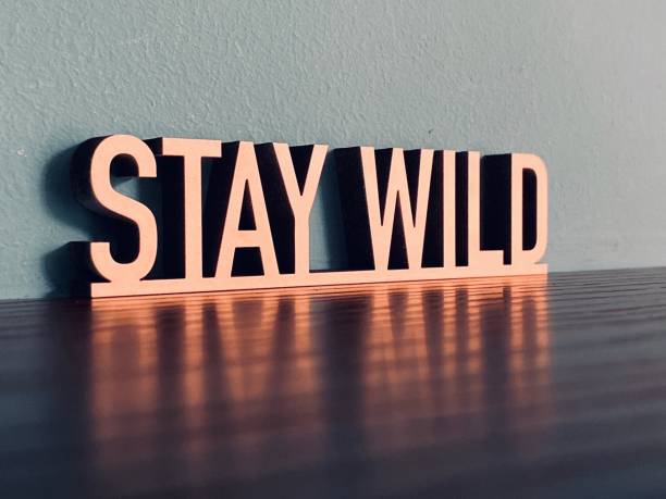 istock Short phrase STAY WILD on blue background 1191624019
