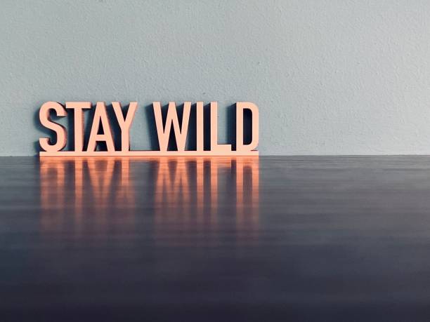 istock Short phrase STAY WILD on blue background 1191624044