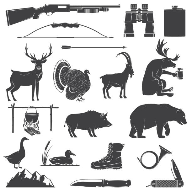 ilustrações de stock, clip art, desenhos animados e ícones de set of hunting equipment and animal icon silhouette. vector. set include deer, bear, boar, goat, turkey, duck, goose, hunter weapons, knife, mountains isolated on white. - white meat flash