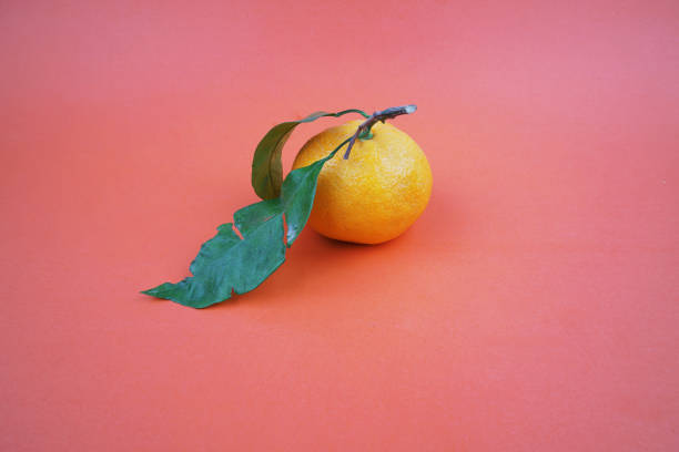 Fresh tangerine isolated red background