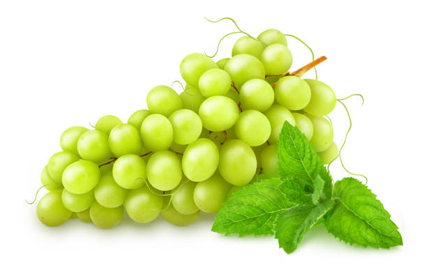 istock Composition with white juicy grape and sprig of mint isolated on a white background with clipping path. 1191629486