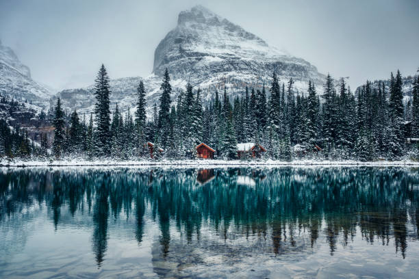 lodge de madera en un bosque de pinos con una fuerte reflexión de nieve en el lago o'hara en el parque nacional de yoho - natural landmark winter season mountain peak fotografías e imágenes de stock