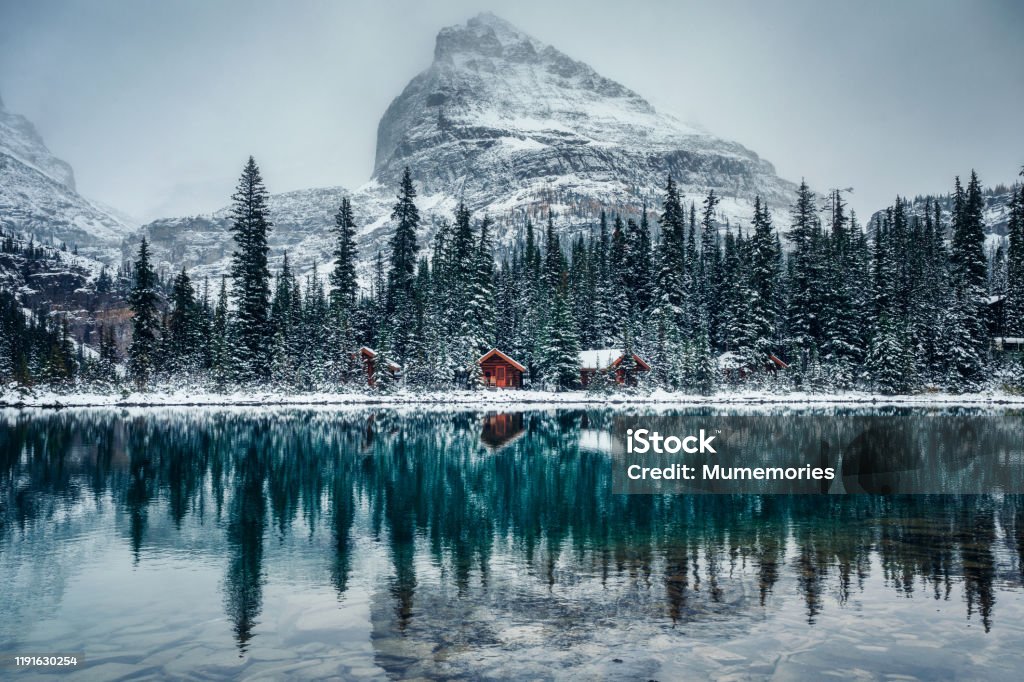 Wooden lodge in pine forest with heavy snow reflection on Lake O'hara at Yoho national park Wooden lodge in pine forest with heavy snow reflection on Lake O'hara at Yoho national park, Canada Winter Stock Photo