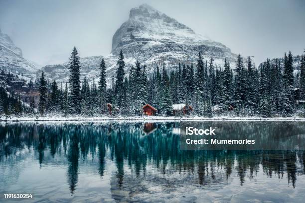 Wooden Lodge In Pine Forest With Heavy Snow Reflection On Lake Ohara At Yoho National Park Stock Photo - Download Image Now