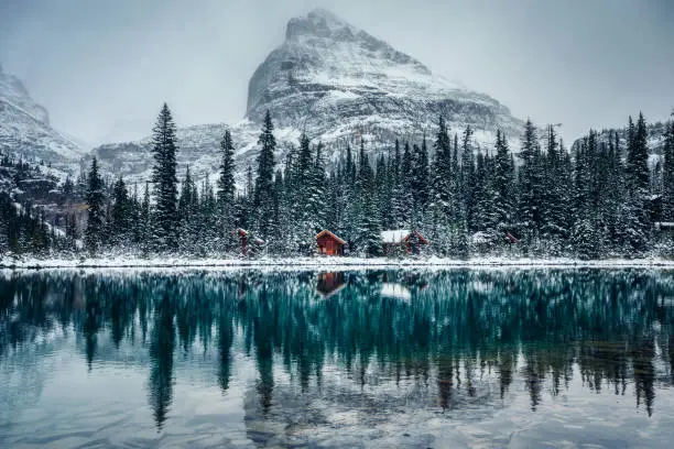 Photo of Wooden lodge in pine forest with heavy snow reflection on Lake O'hara at Yoho national park