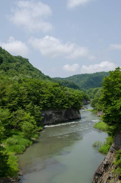 istock Takinoue Natural Park 1191631598