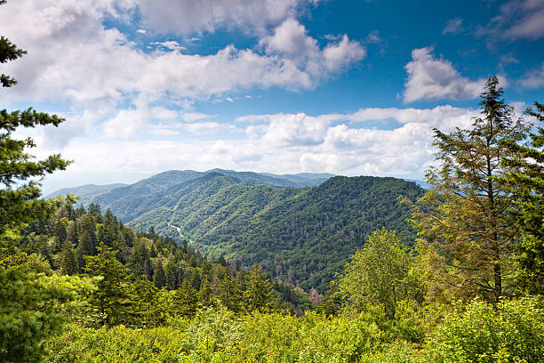 istock Mountain valley at sunny day 119163195