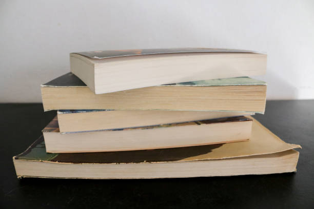 istock Collection of stacked books 1191635232