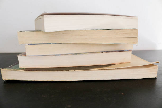 istock Collection of stacked books 1191636004