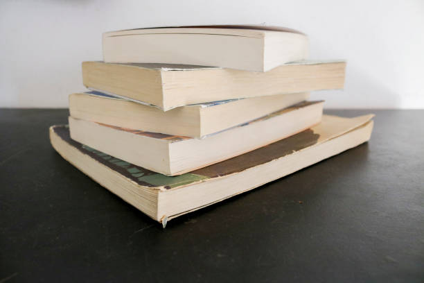 istock Collection of stacked books 1191636718
