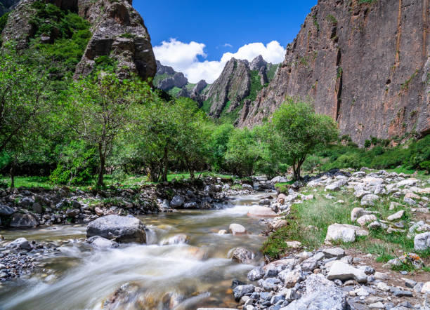 istock River through a canyon at Ganjia grasslands 1191645616