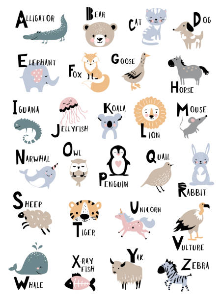 아이 교육을위한 동물 알파벳. - 영어 일러스트 stock illustrations
